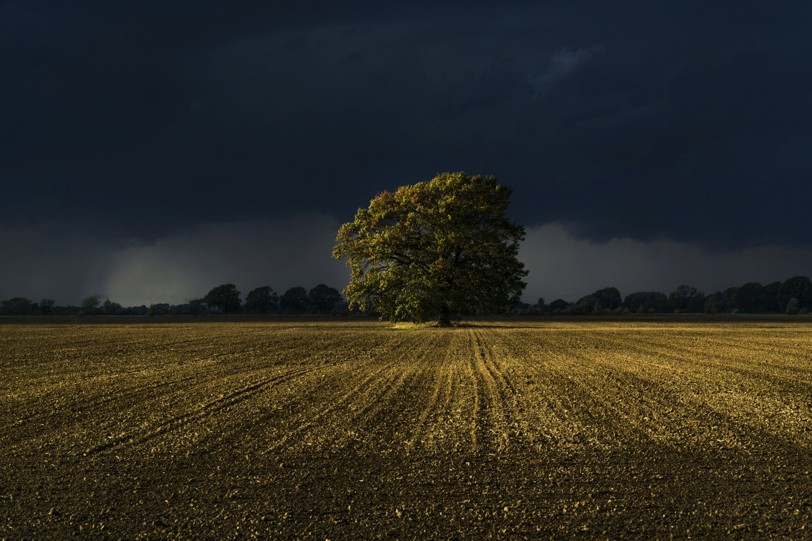 Regensturm 18.10.19 #5