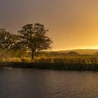 Regensturm 18.10.19 #6