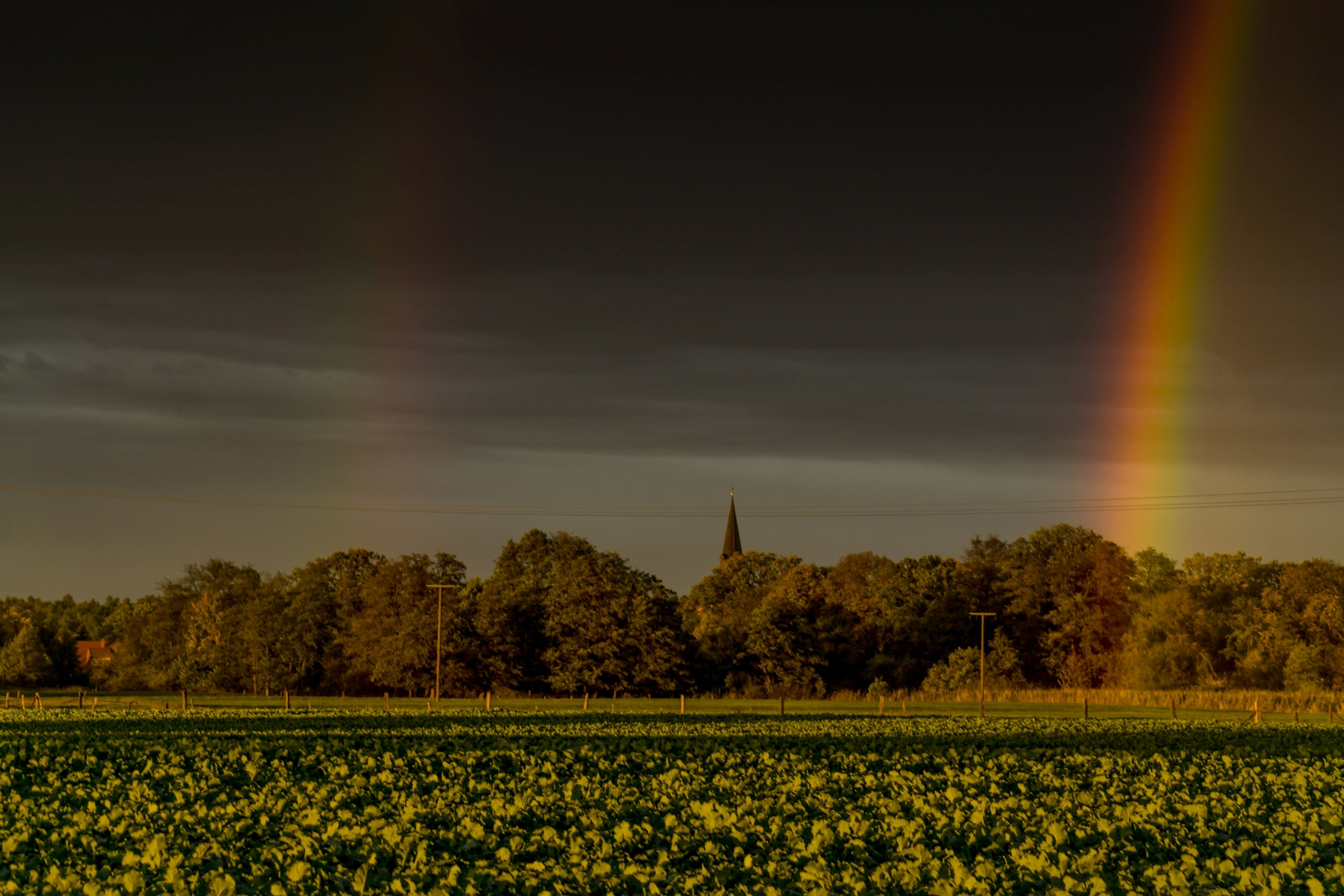 Regensturm 18.10.19 #7