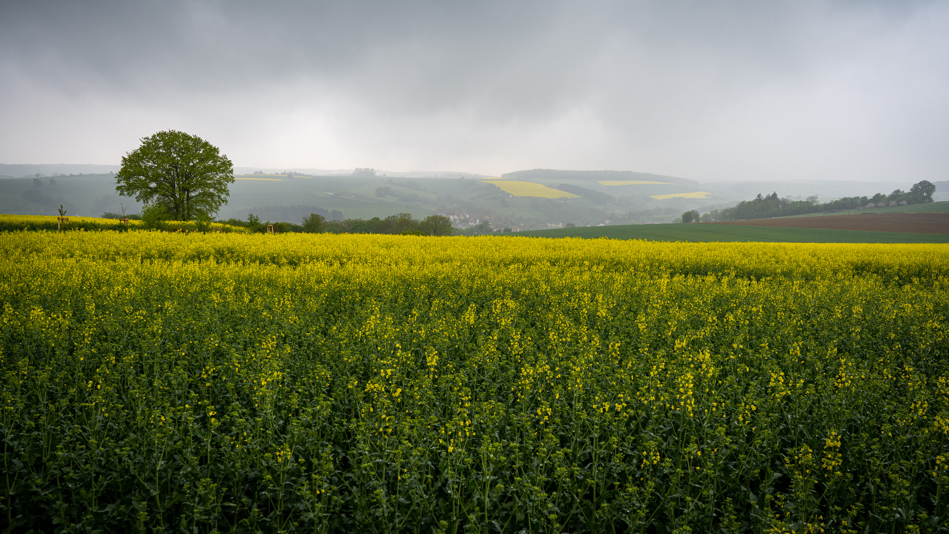 Regentag