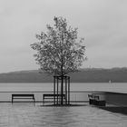 Regentag am Ammersee_1