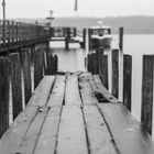 Regentag am Ammersee_3