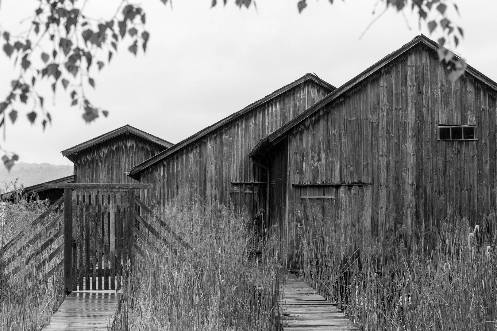 Regentag am Ammersee_4