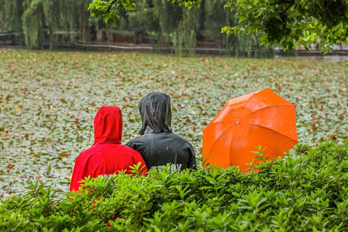 Regentag am Green Lake in Kunming