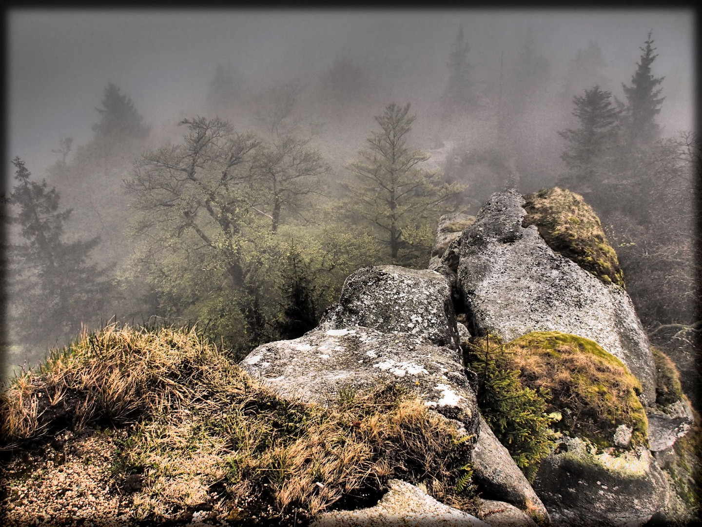 Regentag am Waldstein