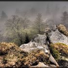 Regentag am Waldstein