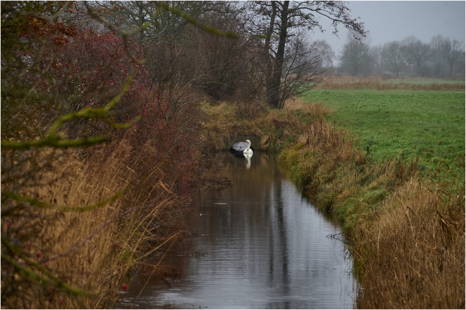 Regentag im Dezember 4