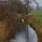 Regentag im Dezember 4