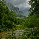  Regentag im Höllental, Niederösterreich