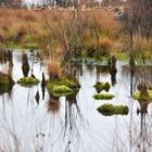 regentag im moor