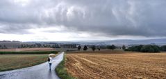 Regentag im Taunus