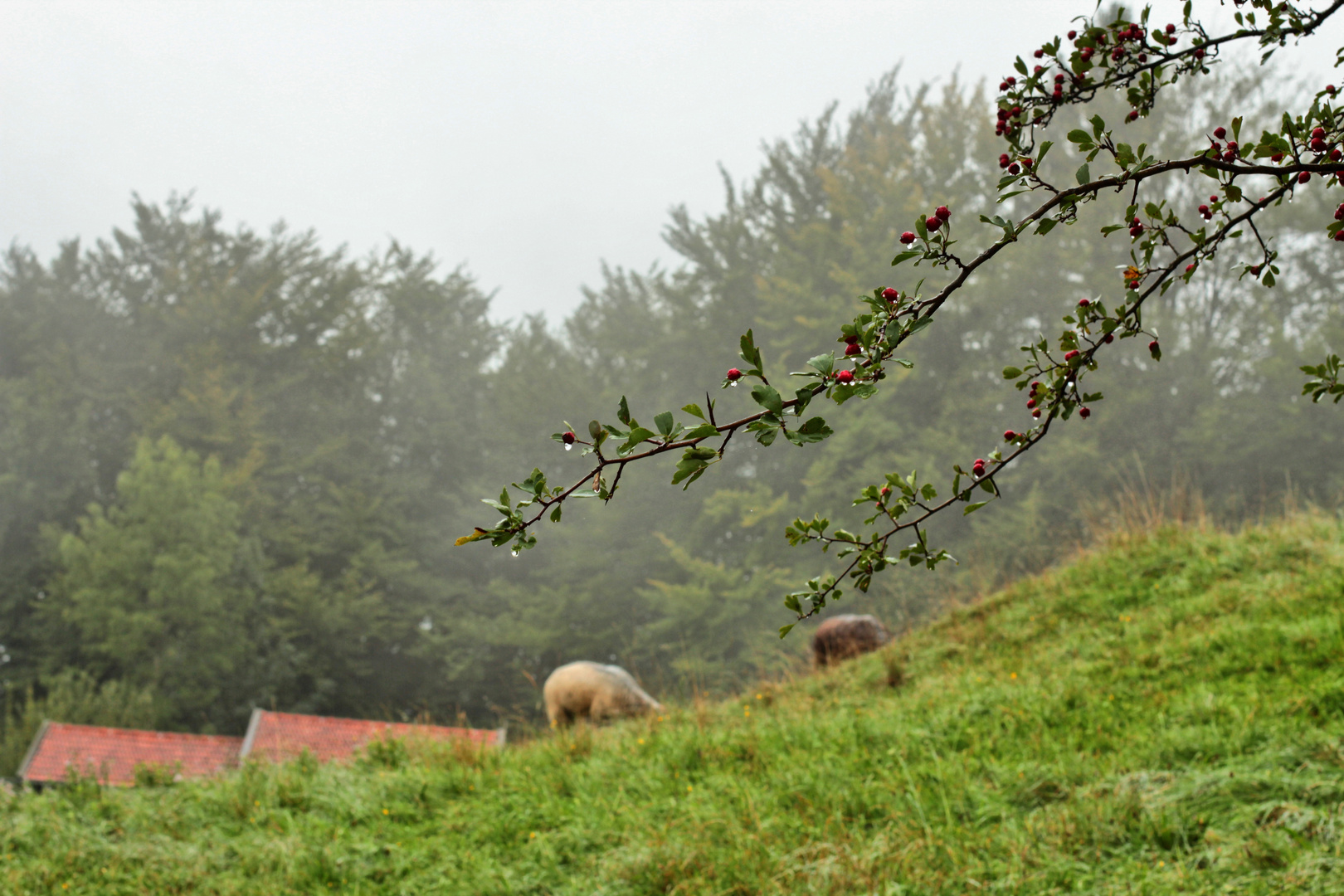 Regentag in Bayern