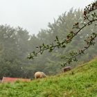 Regentag in Bayern