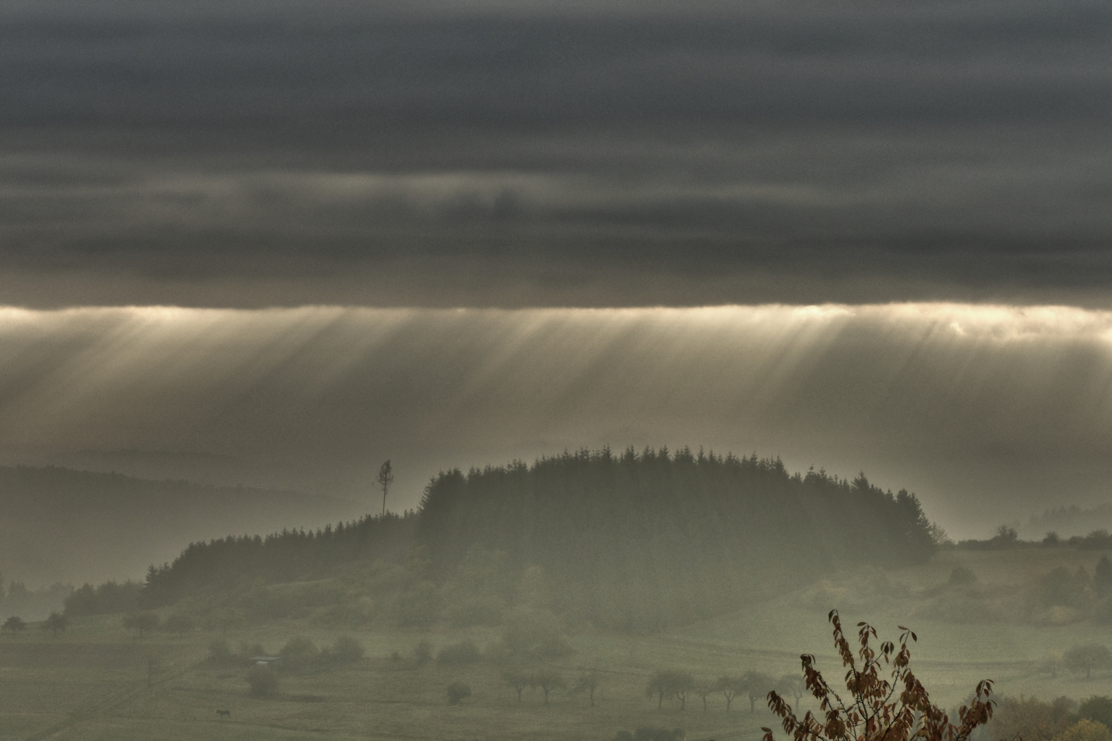 Regentag in der Eifel