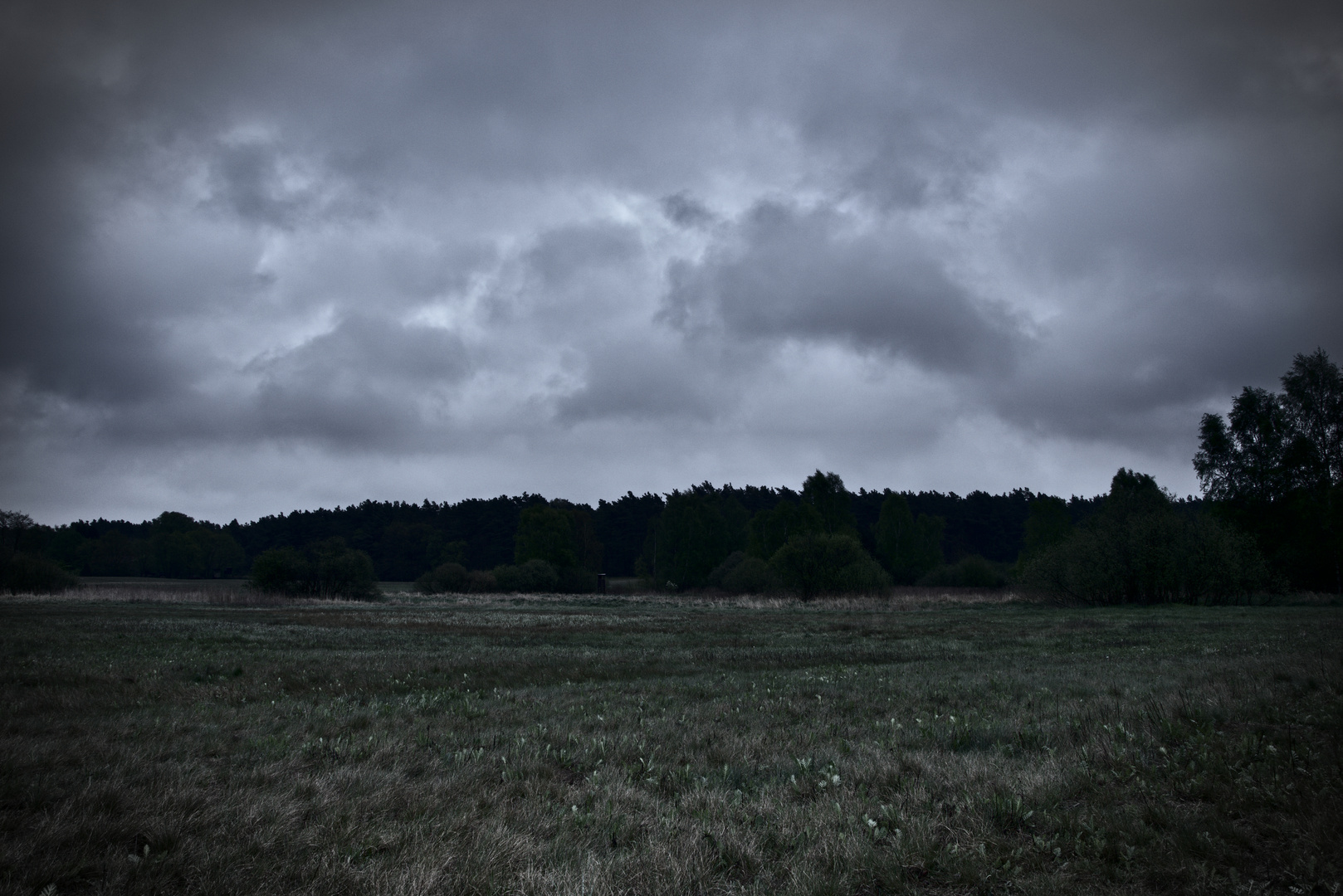 Regentag in der Wakenitz Niederung