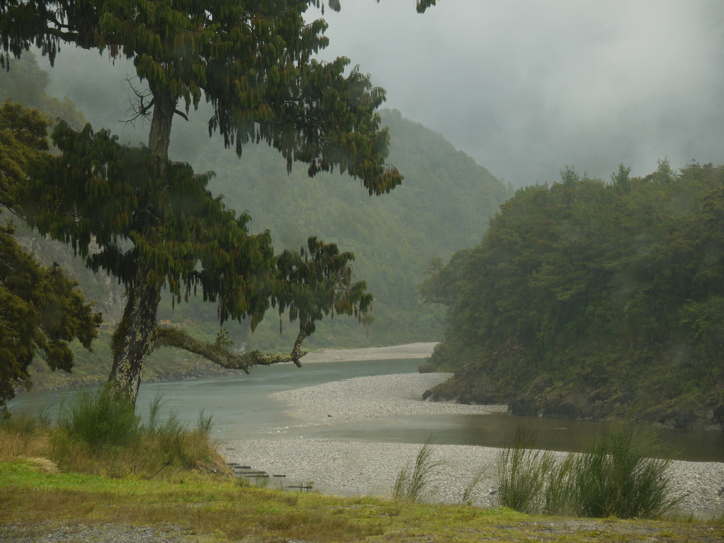 Regentag in NZ