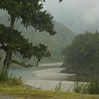 Regentag in NZ