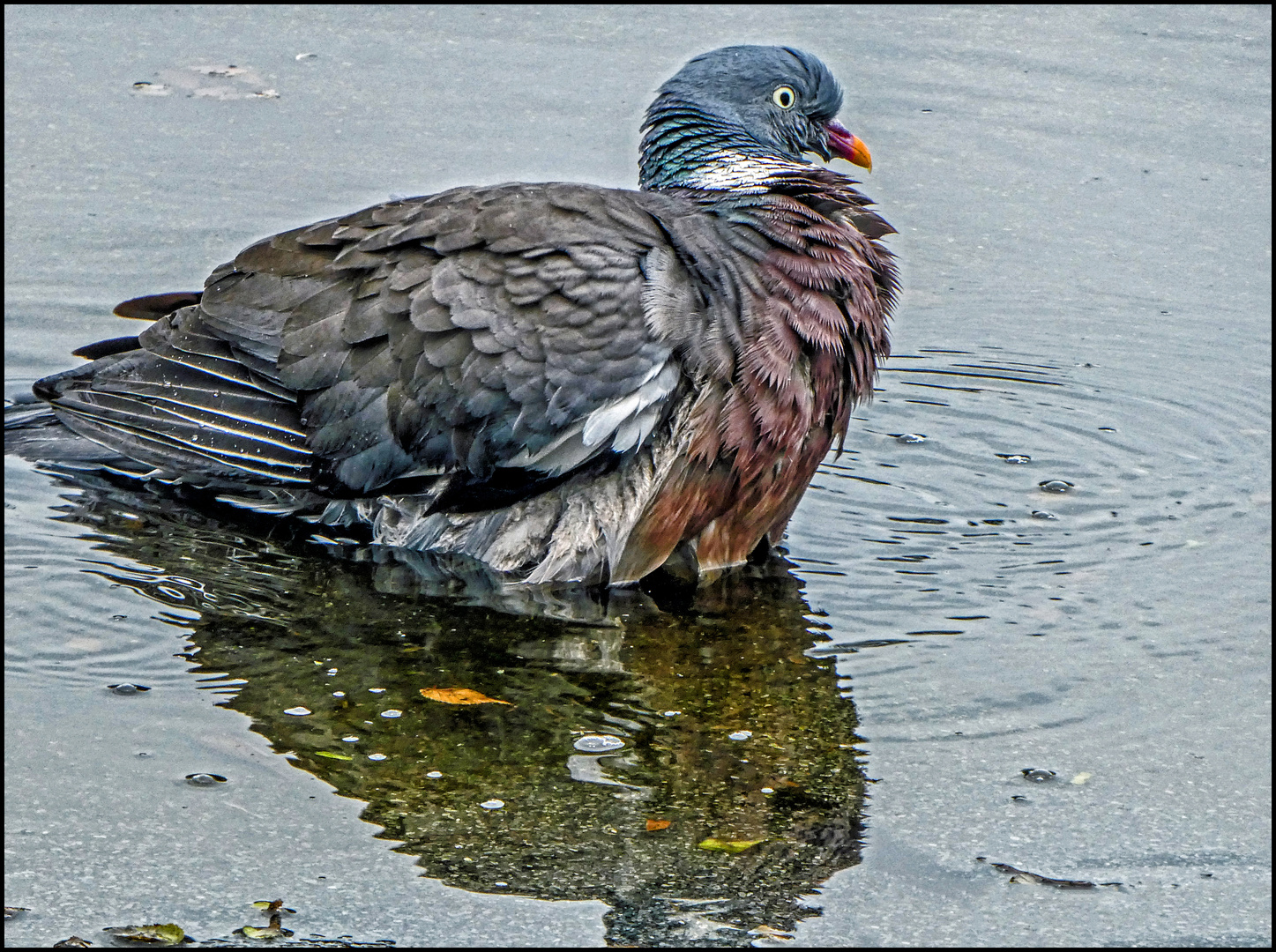 REGENTAG IST BADETAG....