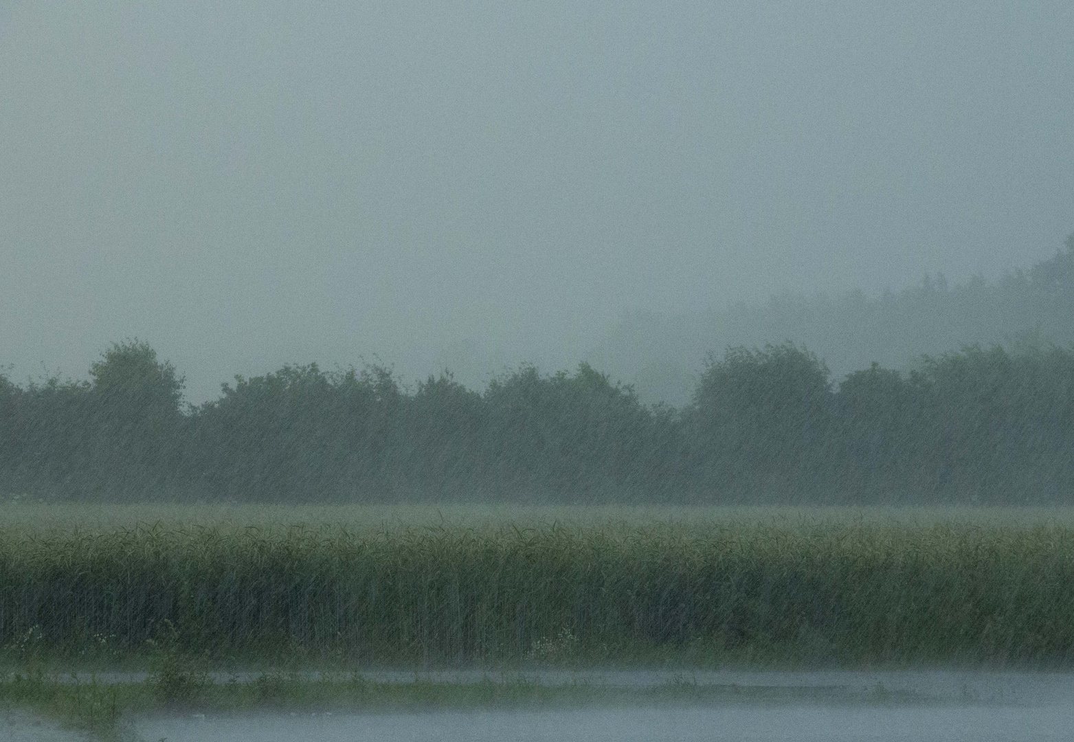 Regentag - Wann kommt endlich Sommer?