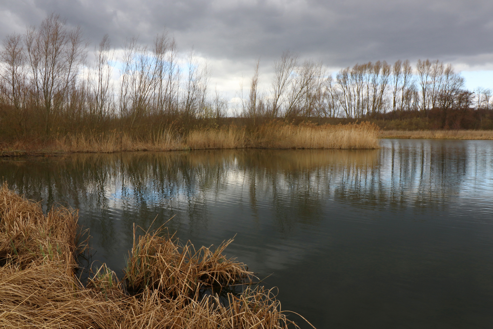 Regenteich bei Lamme