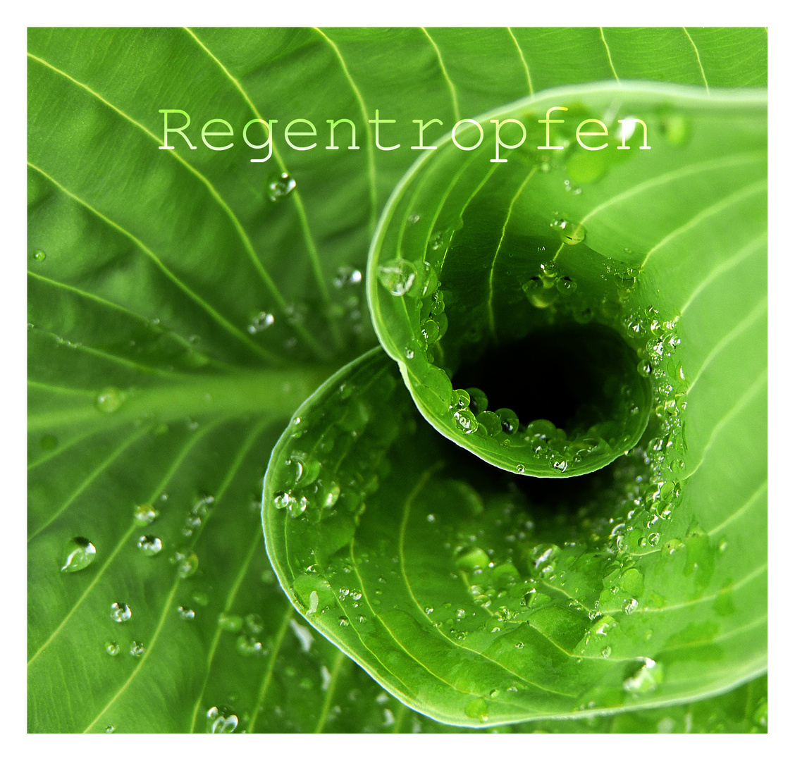 Regentropfen