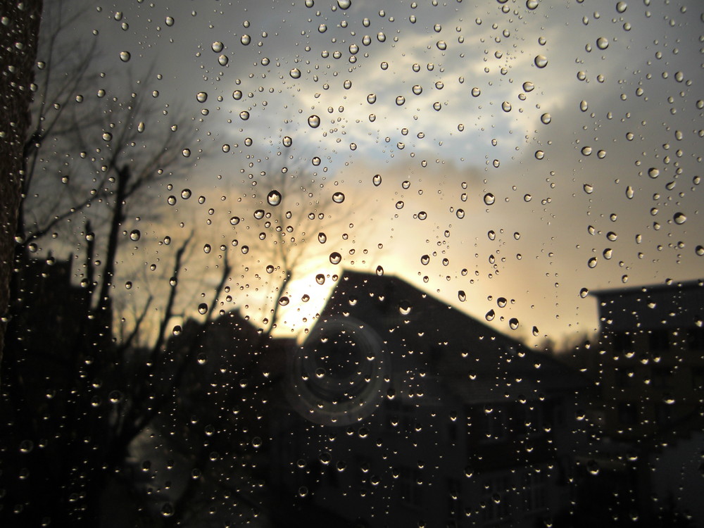 Regentropfen am Fenster