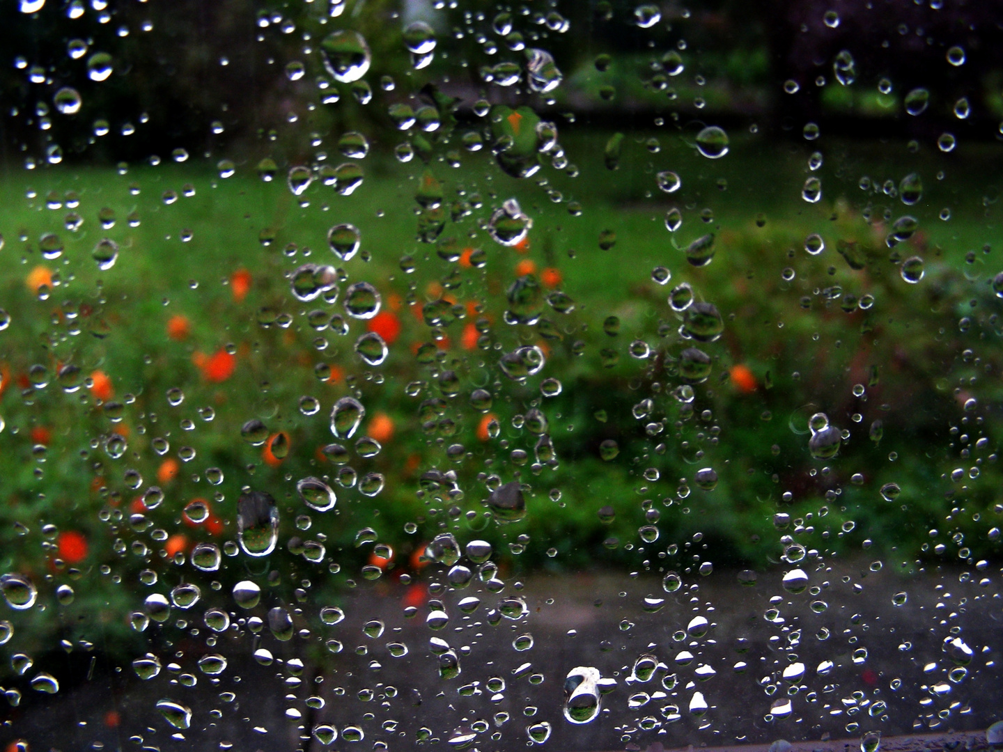 Regentropfen die an mein Fenster klopfen Foto &amp; Bild die