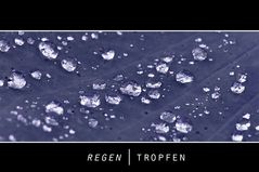 Regentropfen