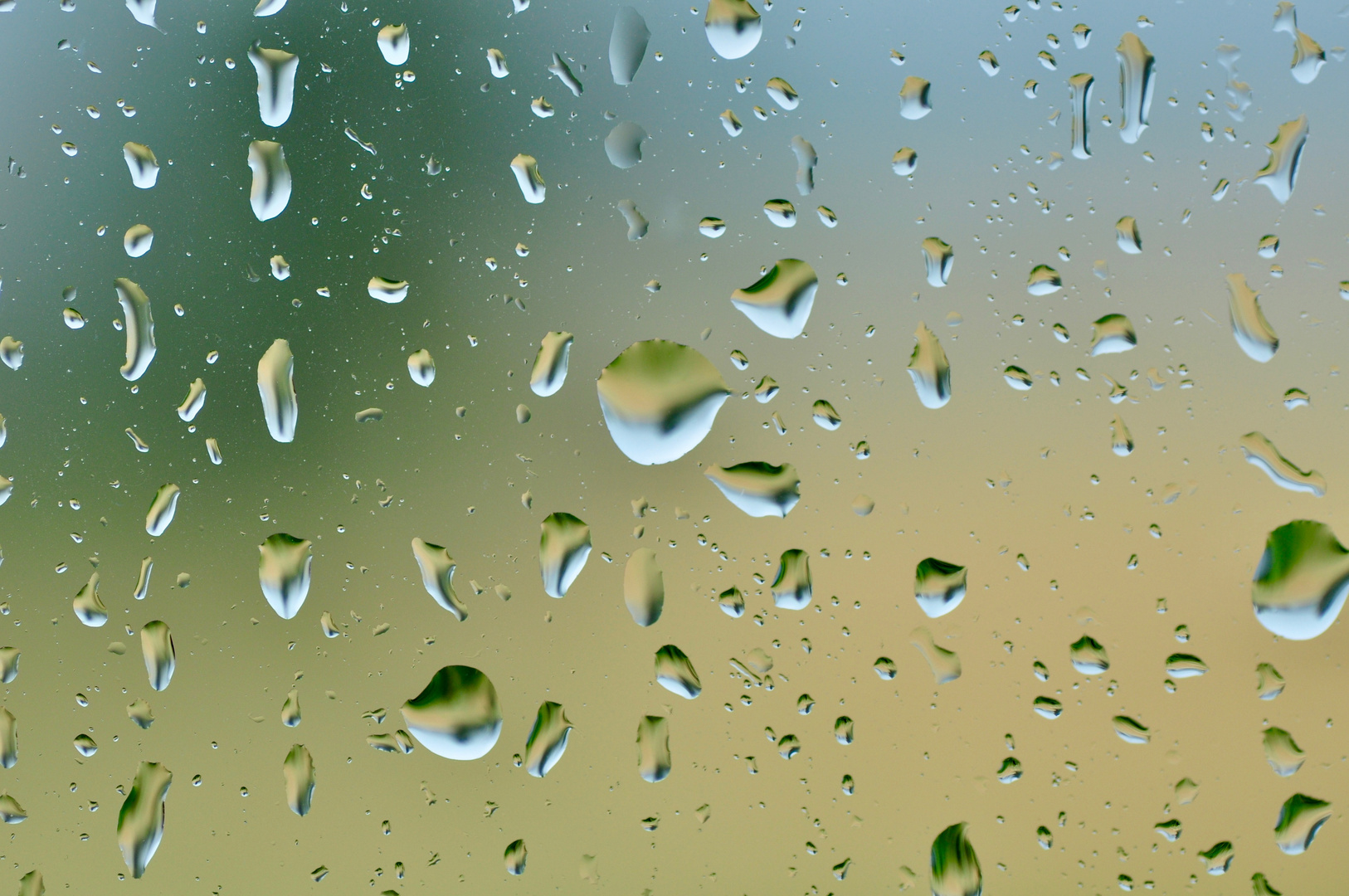 Regentropfen nach dem Regenguß