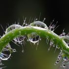 Regen(tropfen)bogen