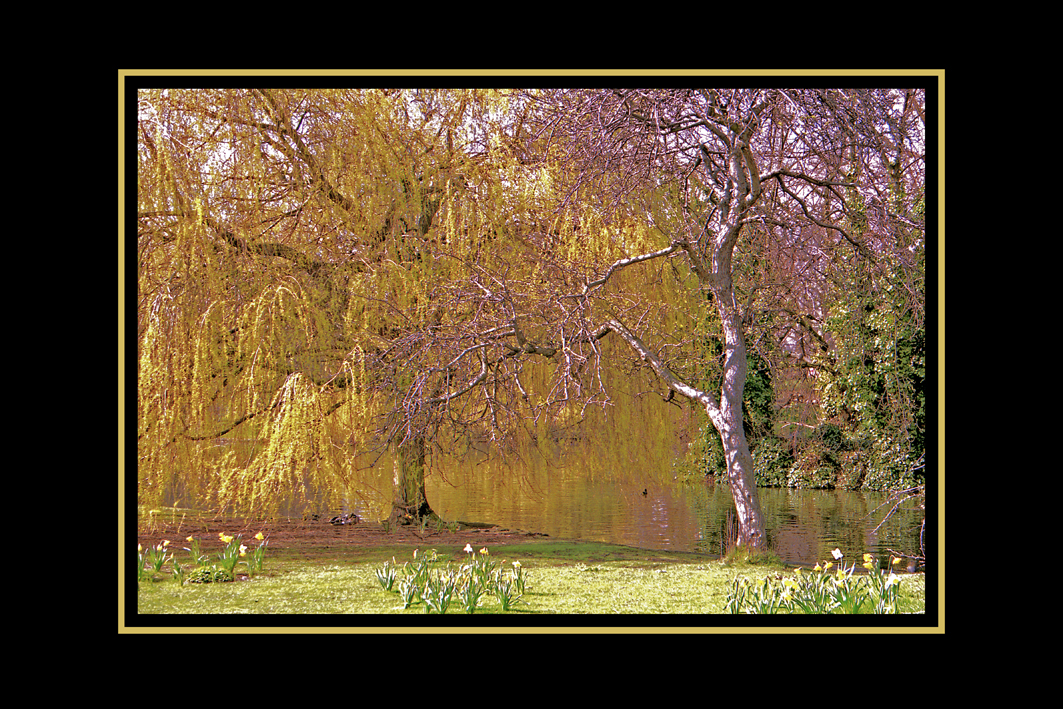 REGENT'S PARK # 2