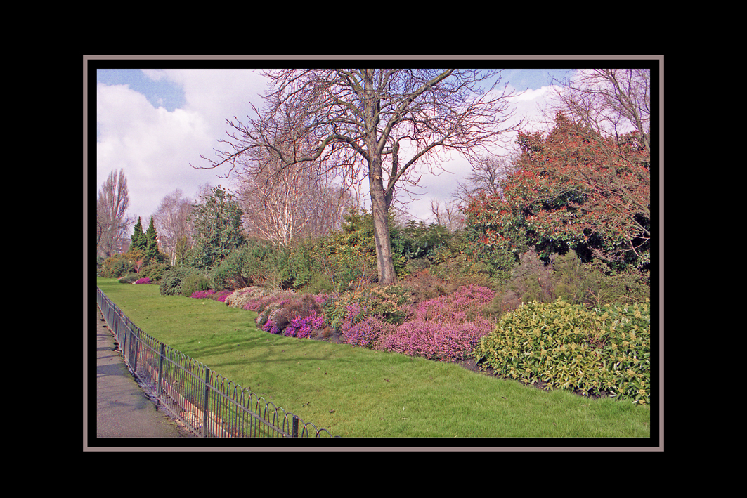 REGENT'S PARK # 4