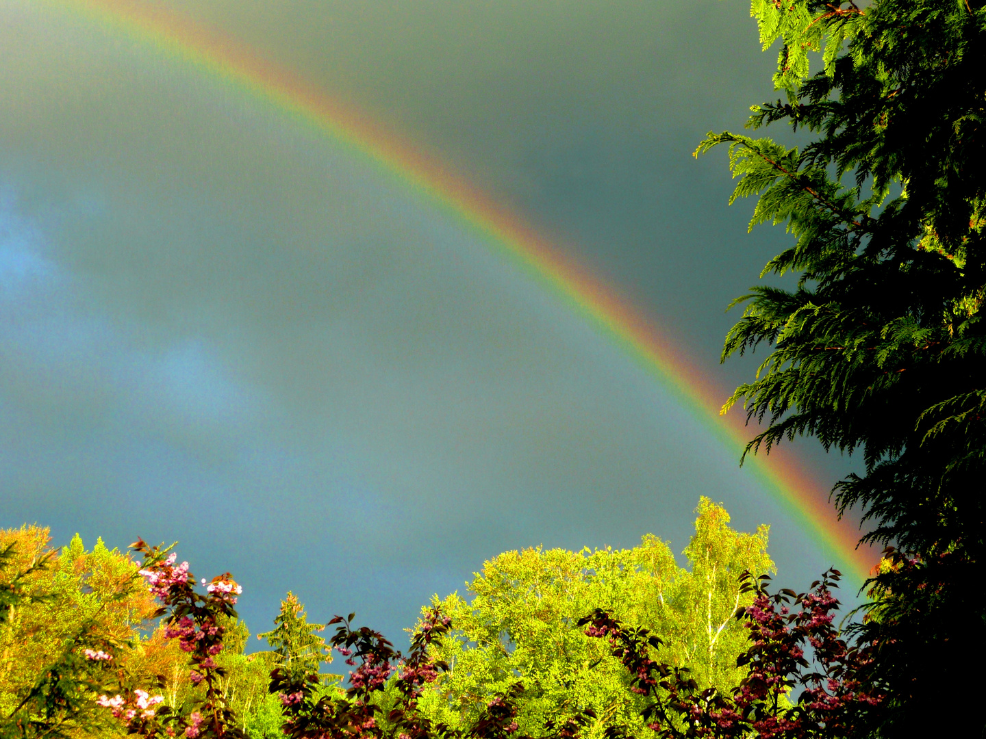 Regenüber über Grünwald (10. Mai 2010)