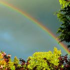 Regenüber über Grünwald (10. Mai 2010)