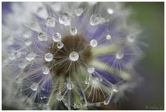 Regenuniversum so schön!