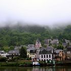 Regenwald an der Mosel