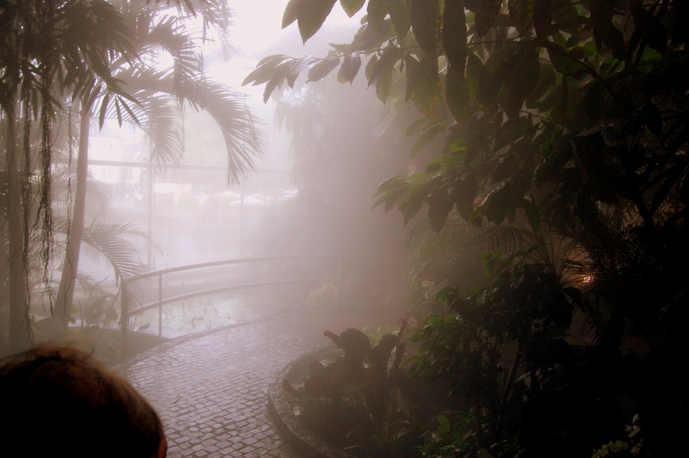 Regenwald Atmosphäre by Patrick-Fotography 