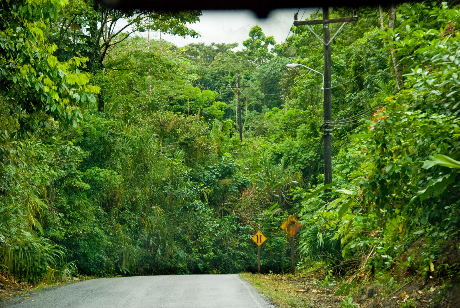 Regenwald bei La Fortuna de San Carlos