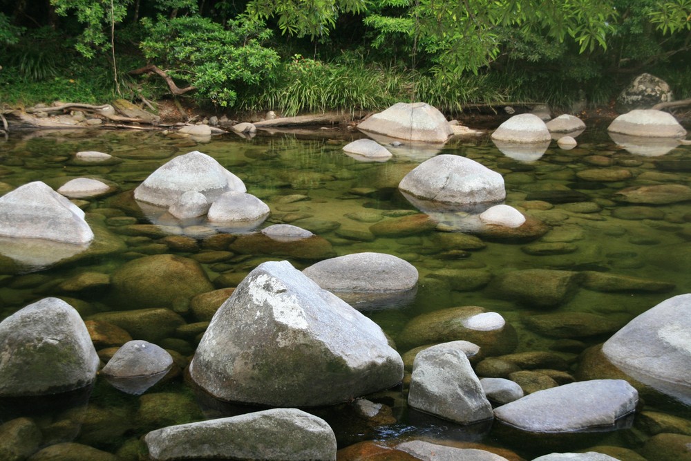Regenwald Cairns Fluss