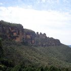 Regenwald in den Blue Mountains ?!