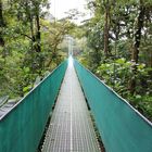 - Regenwald in Monteverde 1  -