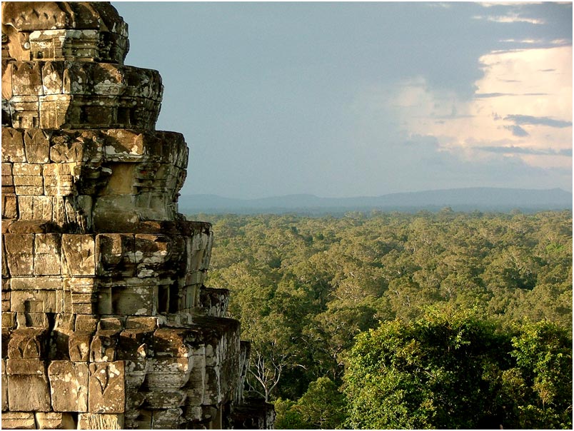 Regenwald vom Tempel Phnom Bakheng