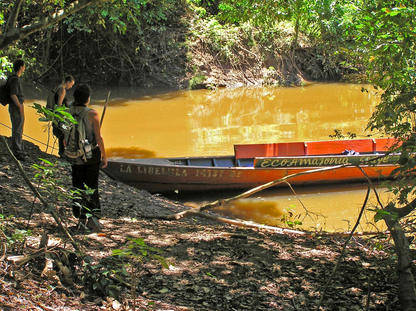 Regenwald von Peru