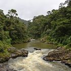 Regenwald von Ranomafana auf Madagaskar