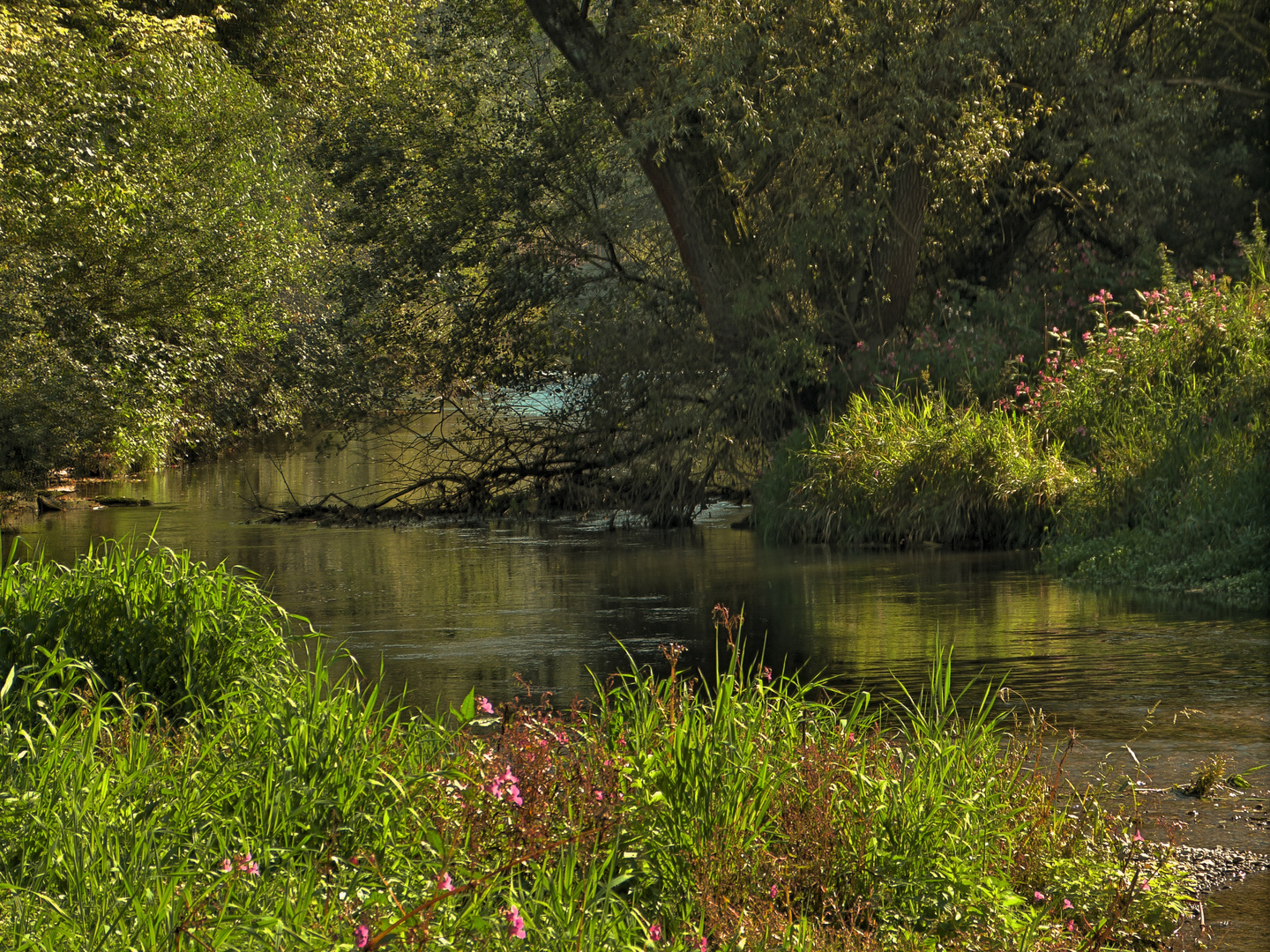 "Regenwaldstimmung" im Mindeltal