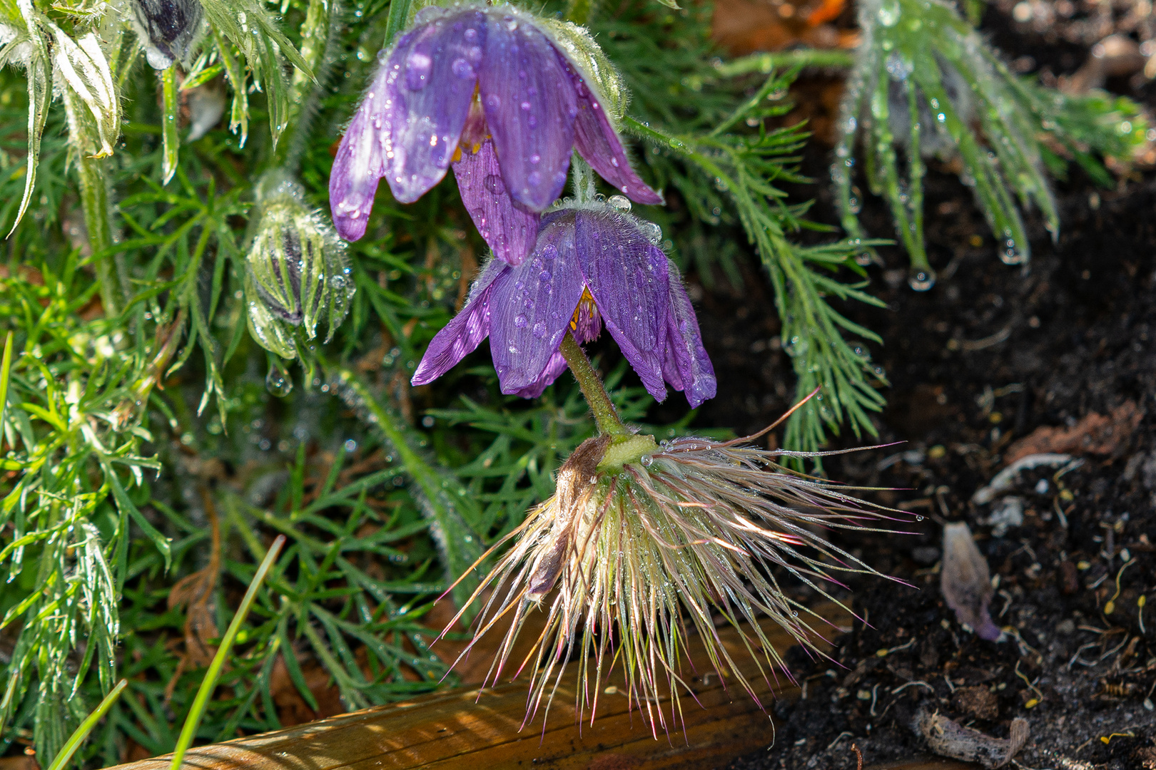 Regenwasser wäre besser