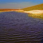 Regenwasseransammlung auf der Halde Haniel