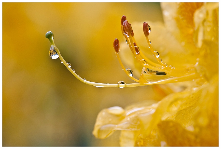 Regenwetter....