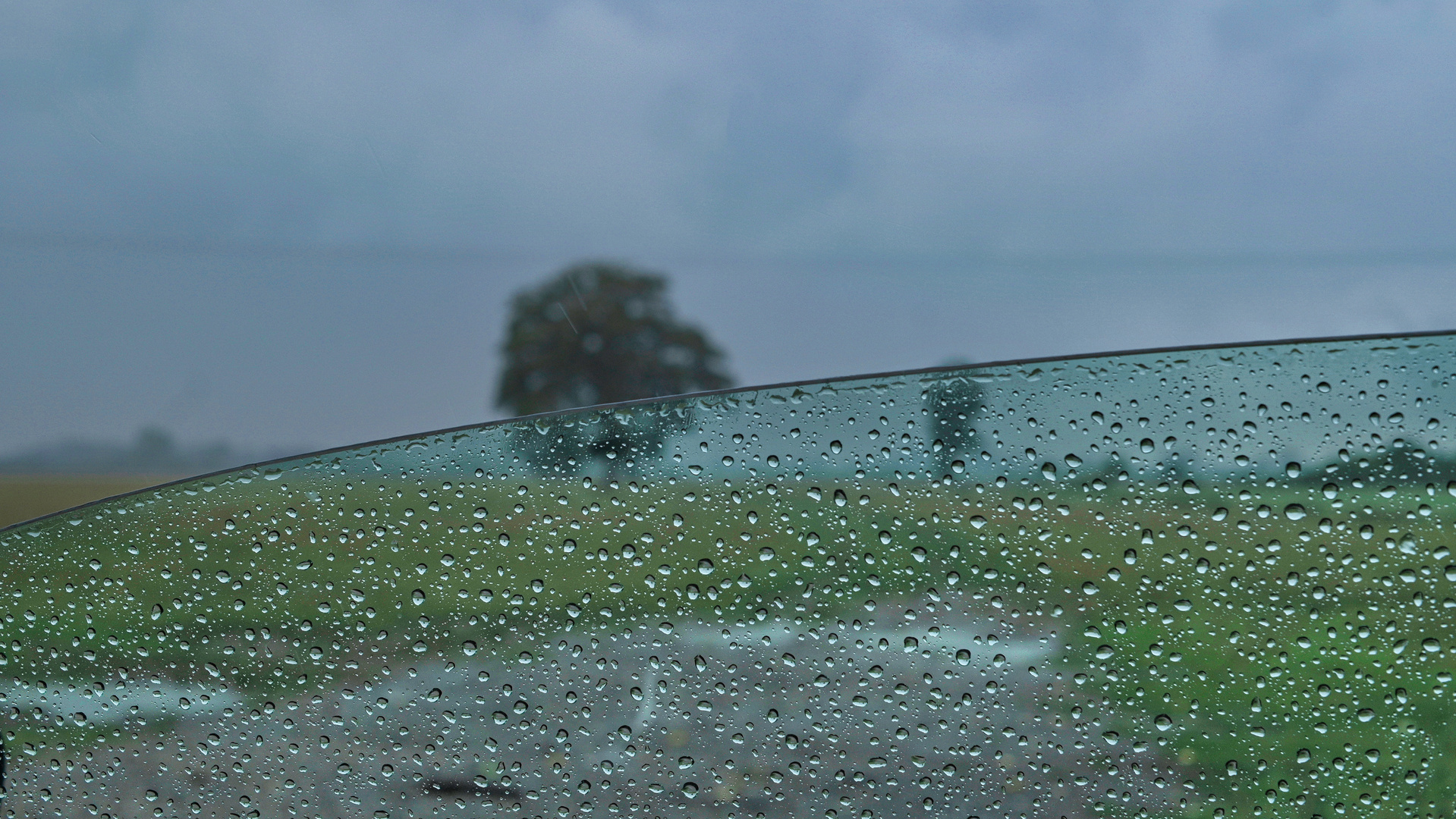 Regenwetter Foto &amp; Bild | nah- &amp; makro, experimente, techniken Bilder ...
