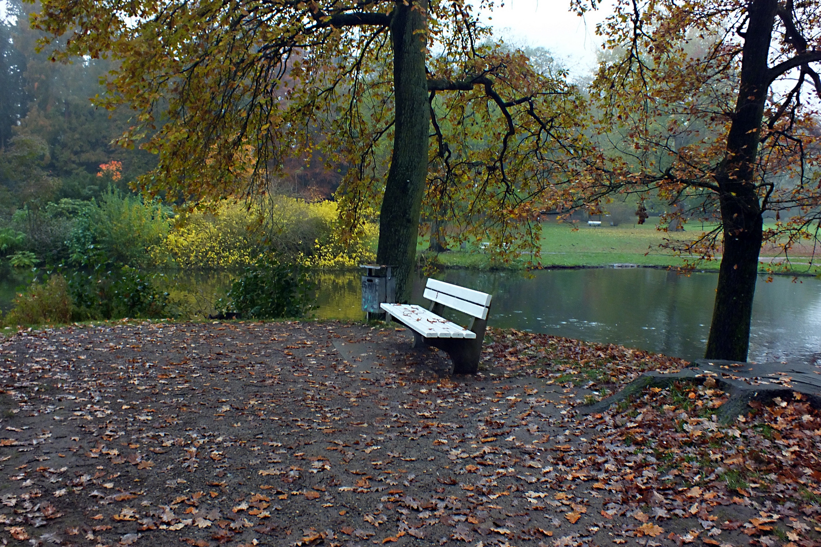 Regenwetter